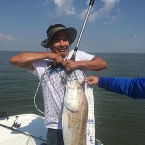 Meet your Posher, Rolando